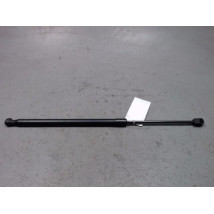 VERIN GAUCHE HAYON RENAULT SCENIC II PH1 02-06
