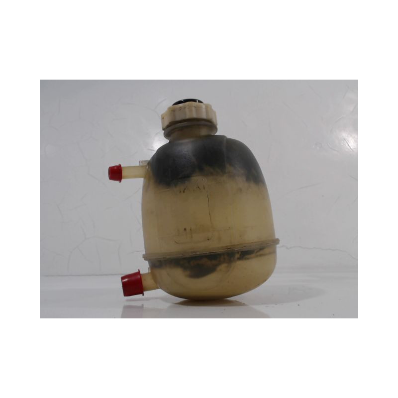 VASE EXPANSION RENAULT SCENIC PH1 96-99