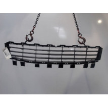 GRILLE PARE-CHOC AVANT RENAULT MEGANE II PH2 CPE 2006-