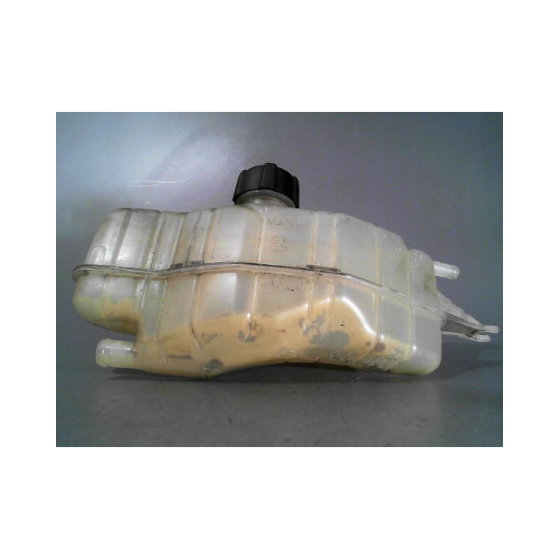 VASE EXPANSION RENAULT CLIO
